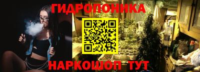 ГАЛЛЮЦИНОГЕННЫЕ ГРИБЫ Кулебаки