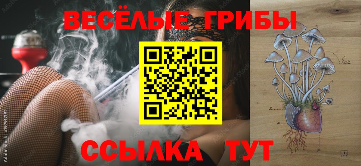 закладки  Псилоцибиновые грибы ЛСД  Вход с VPN  Димитровград 